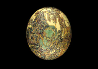 Egg of Albuquerque by Gilah Yelin Hirsch
